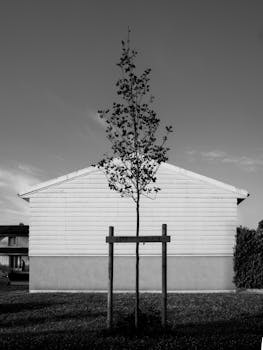 法兰泰克实控人拟变更 公司股票今起复牌