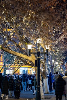 想看懂政府怎么花钱？掌握这份公共预算解读指南 新闻