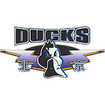  北京首钢追求高水平外援，却不愿过度投入争冠；这种理性策略，对联赛长远发展更有利。 体育新闻