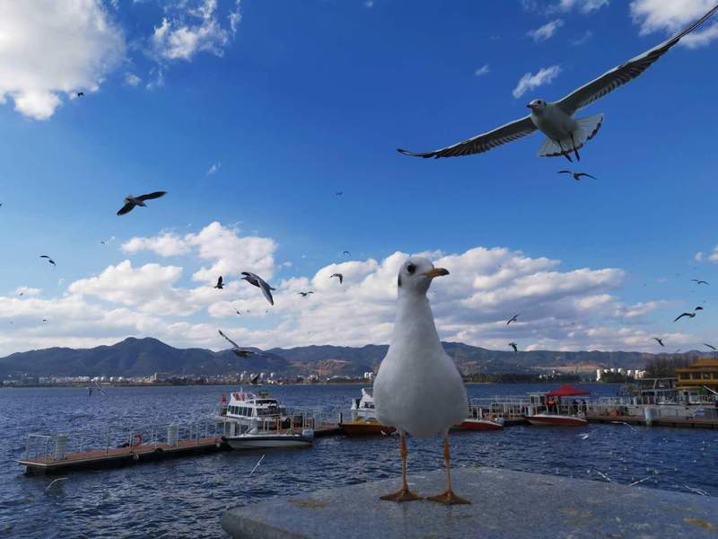  宿舍建设标准化体系：重塑高等教育居住环境的品质效能 教育招生