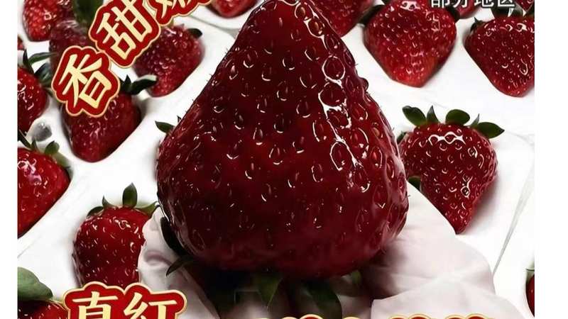  揭秘蓝莓产业变局，一场从高端暴利到大众消费的突围 新闻