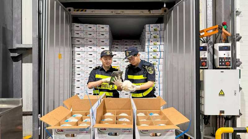  揭秘蓝莓产业变局，一场从高端暴利到大众消费的突围 新闻