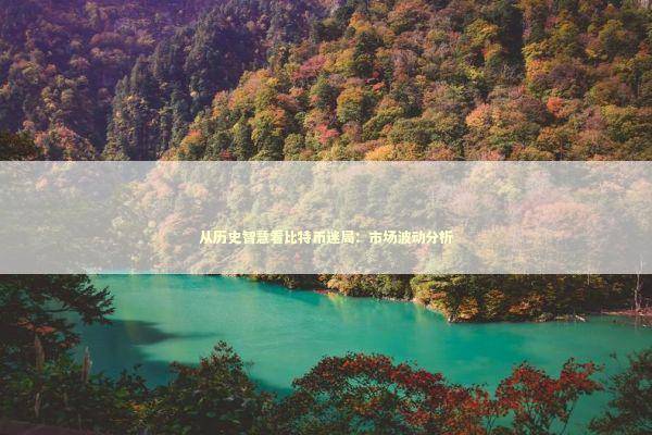 从历史智慧看比特币迷局：市场波动分析