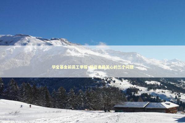 华宝基金前员工举报-投资者最关心的三个问题