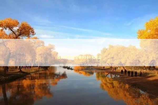 当15岁的天空被9300元蒙尘