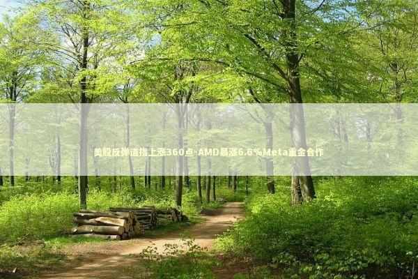 美股反弹道指上涨360点-AMD暴涨6.6%Meta重金合作