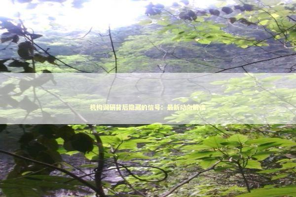 机构调研背后隐藏的信号：最新动向解读