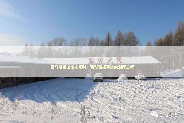 当马斯克谈论未来时：劳动变成可选的深度思考