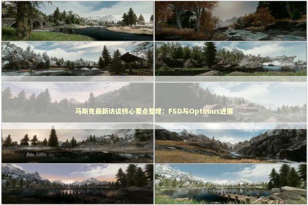 马斯克最新访谈核心要点整理：FSD与Optimus进展