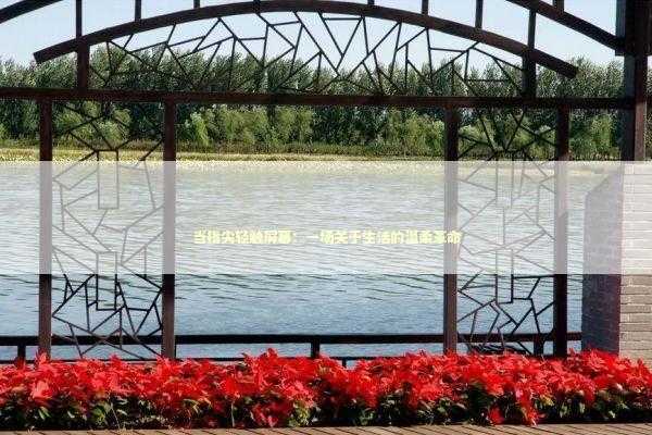 当指尖轻触屏幕：一场关于生活的温柔革命