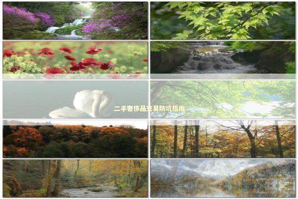 二手奢侈品交易防坑指南