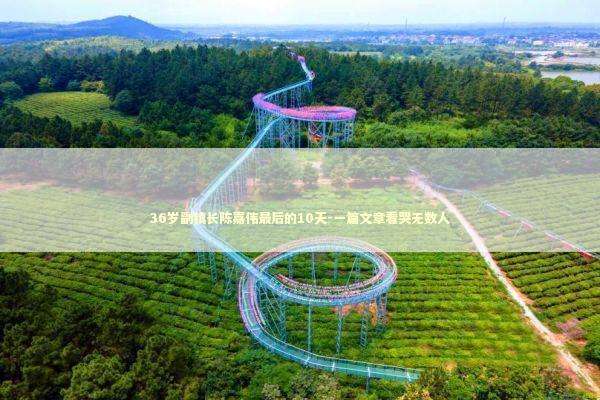 36岁副镇长陈嘉伟最后的10天-一篇文章看哭无数人