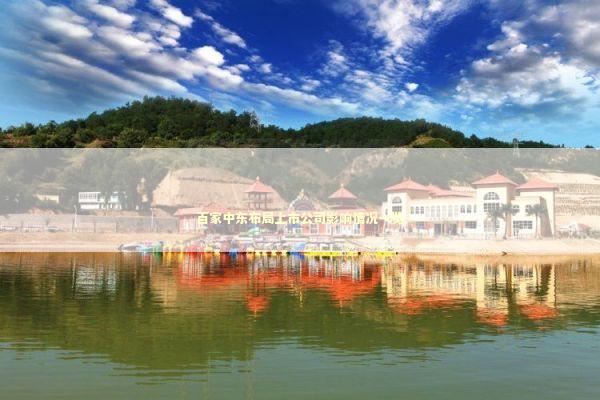 百家中东布局上市公司影响情况一览