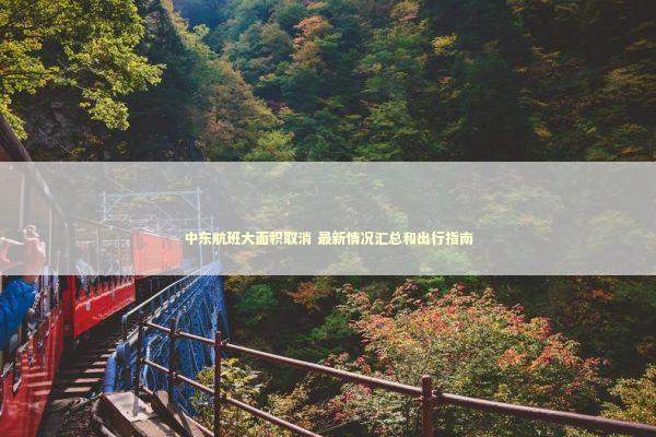 中东航班大面积取消 最新情况汇总和出行指南