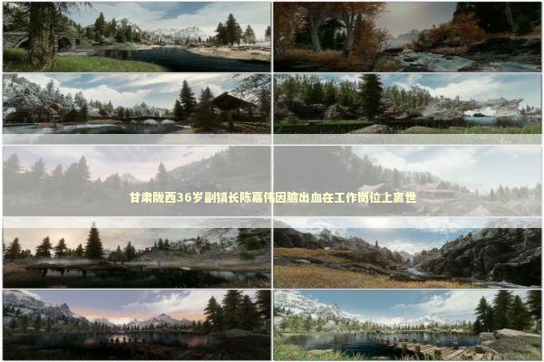 甘肃陇西36岁副镇长陈嘉伟因脑出血在工作岗位上离世