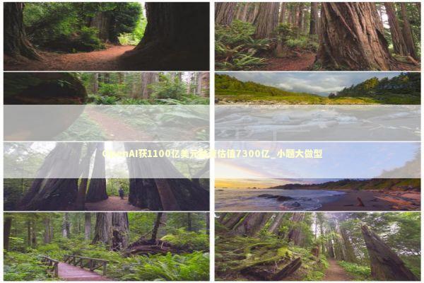 OpenAI获1100亿美元融资估值7300亿_小题大做型