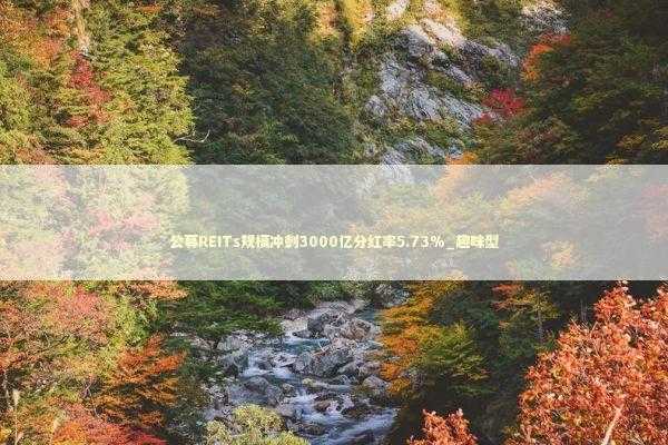 公募REITs规模冲刺3000亿分红率5.73%_趣味型