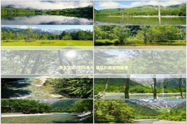 黄金突破5400美元 幕后的推波助澜者