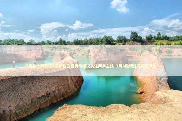 3月首个交易日A股韧性凸显机构建议关注两条主线-3月A股韧性平淡叙事型