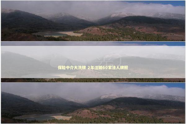 保险中介大洗牌 2年注销60家法人牌照