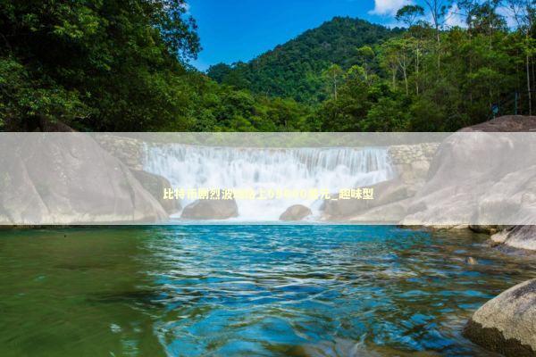 比特币剧烈波动站上69000美元_趣味型