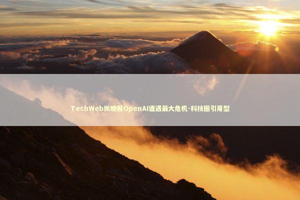 TechWeb微晚报OpenAI遭遇最大危机-科技圈引用型