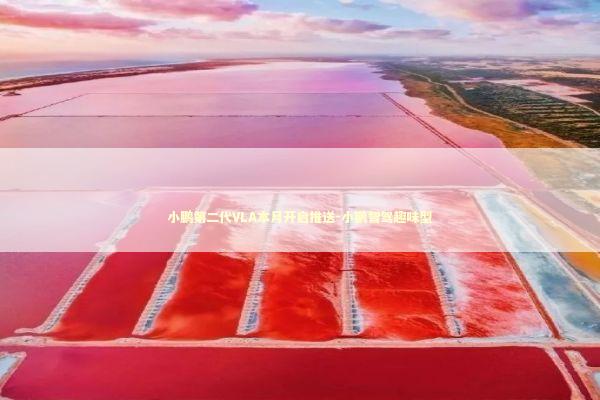 小鹏第二代VLA本月开启推送-小鹏智驾趣味型