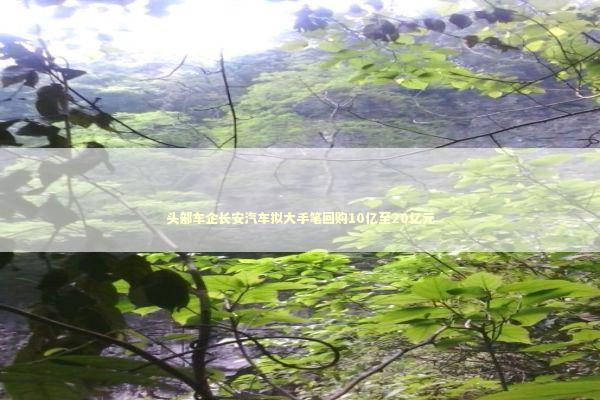 头部车企长安汽车拟大手笔回购10亿至20亿元