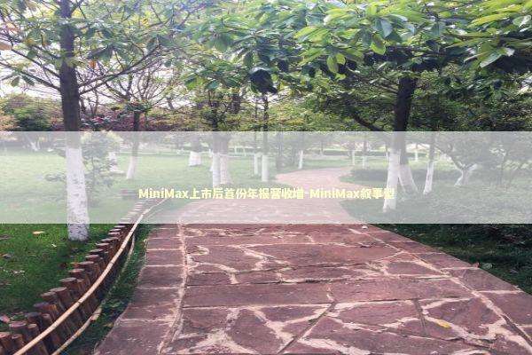 MiniMax上市后首份年报营收增-MiniMax叙事型