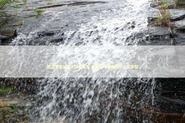 现货黄金站上5300美元 有色ETF逆市拉升_实用型