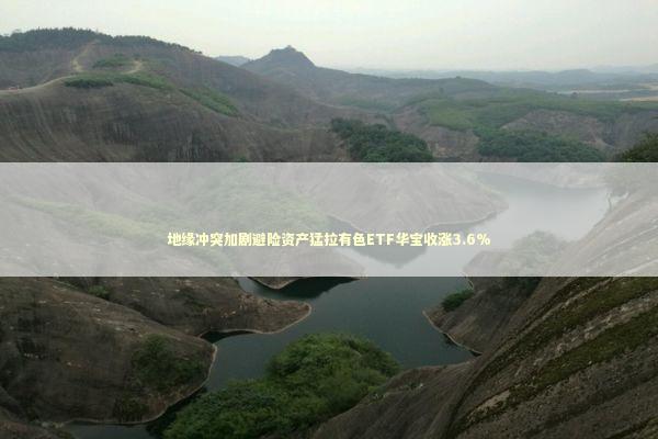 地缘冲突加剧避险资产猛拉有色ETF华宝收涨3.6%