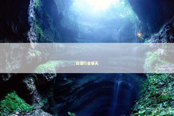 白酒行业春天