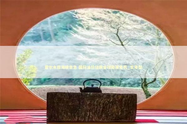 霍尔木兹海峡告急 国际油价狂飙全球能源危机_实用型