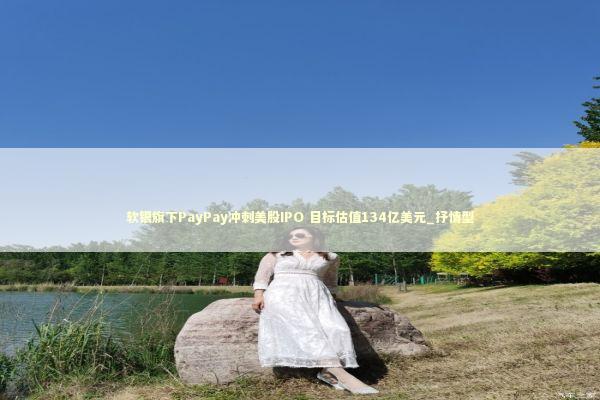 软银旗下PayPay冲刺美股IPO 目标估值134亿美元_抒情型