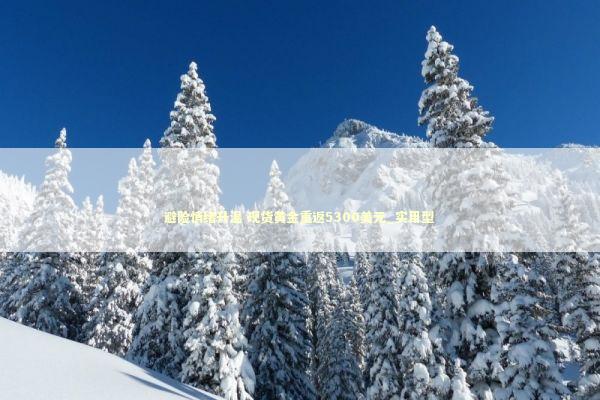 避险情绪升温 现货黄金重返5300美元_实用型