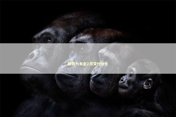 新势力车企2月交付分化