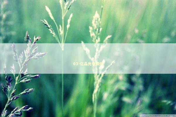 03-亿晶光电跌停