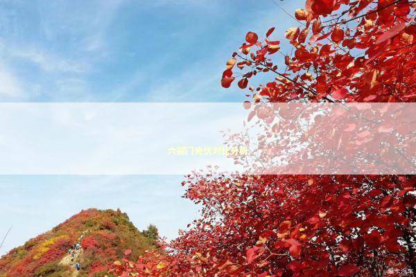 六部门光伏对比分析