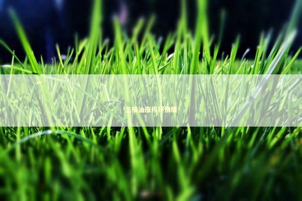 三桶油涨停抒情版