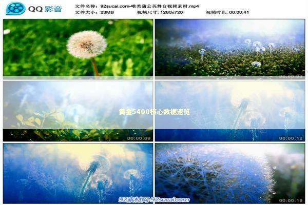 黄金5400核心数据速览