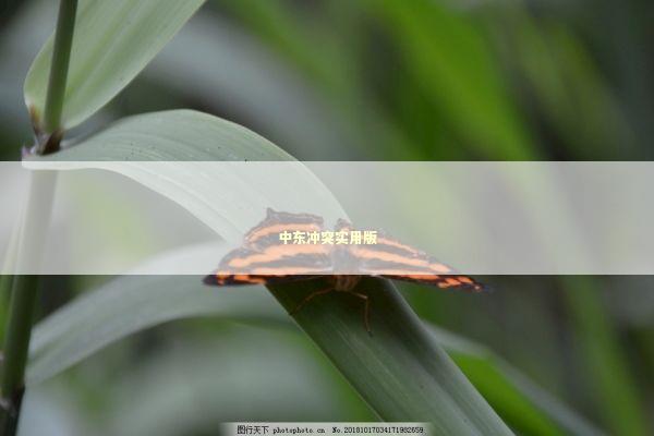 中东冲突实用版