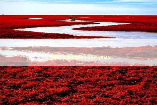 人形机器人加速从炫技到干活量产元年已至