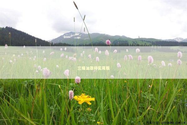 三桶油涨停实用版