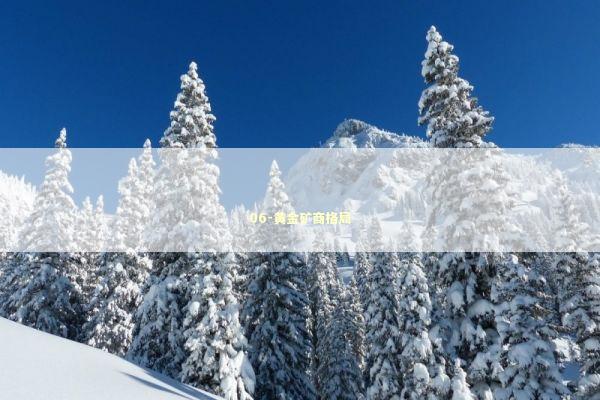 06-黄金矿商格局