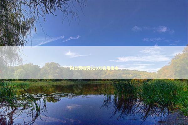 向日葵被罚510万实用指南