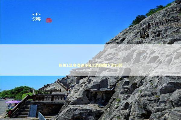 钨价1年多涨逾4倍上游赚翻下游叫苦