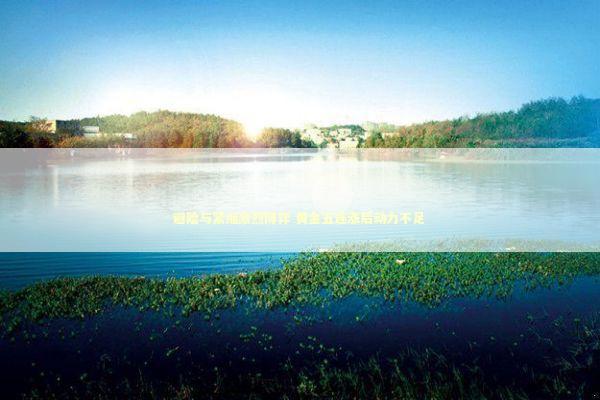 避险与紧缩激烈博弈 黄金五连涨后动力不足