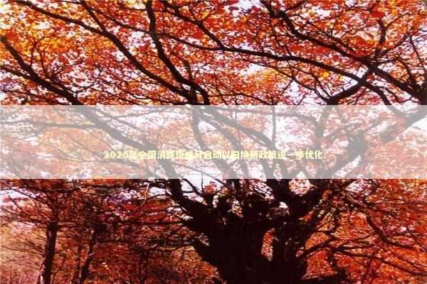 2026年全国消费促进月启动以旧换新政策进一步优化