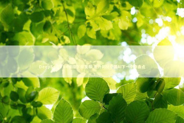 DeepSeek V4被指下周发布 老外揭秘中国AI下一个冲击点