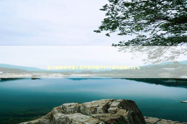 支付政策落地催化医药板块医疗ETF易方达涨102%